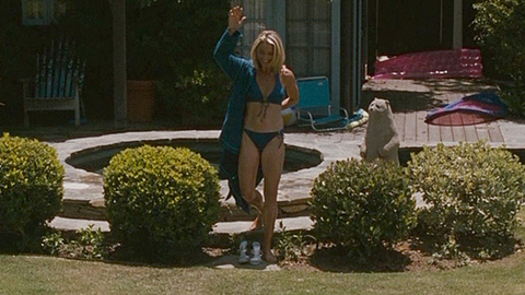 Pic: Katherine LaNasa in Valentine's Day