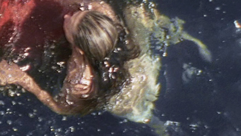 Pic: Ali Hillis in Open Water 2: Adrift