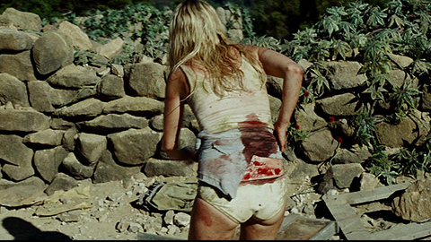 Pic: Laura Ramsey in The Ruins (2008)