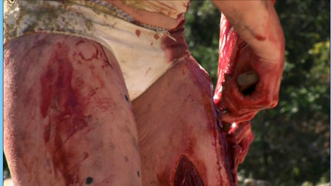 Pic: Laura Ramsey in The Ruins (2008)