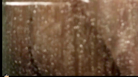 Pic: Jaime Ray Newman in Rubberneck