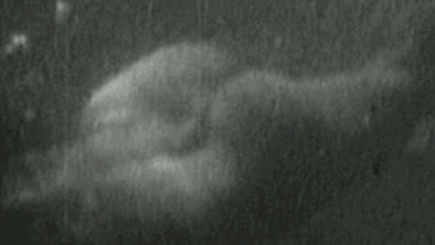 Pic: Dolores del Rio in Bird of Paradise