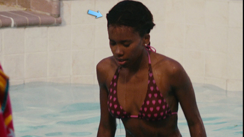Pic: Regine Nehy in Lakeview Terrace