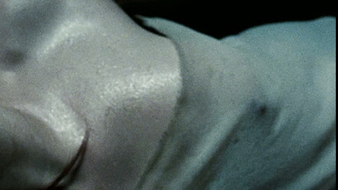 Pic: Kelly Craig in 300