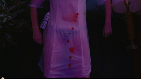 Pic: Rebecca Mader in The Big Bang