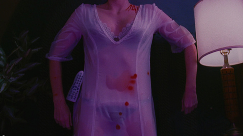 Pic: Rebecca Mader in The Big Bang