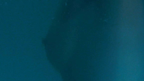 Pic: Sarah Roemer in Asylum