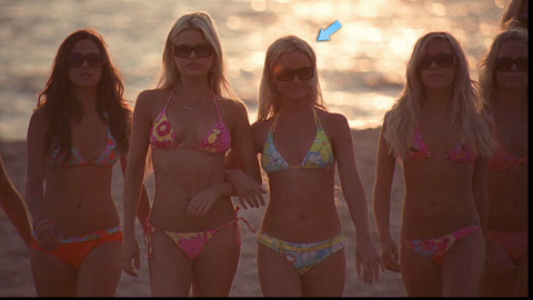 Pic: Amy Poehler in Spring Breakdown