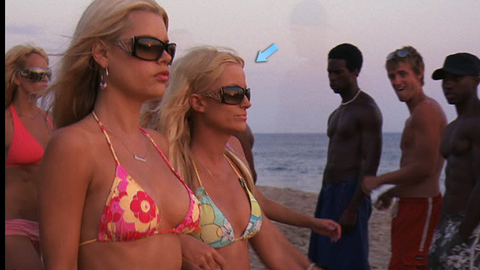 Pic: Amy Poehler in Spring Breakdown