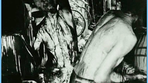 Pic: Diana Mariscal in Fando y Lis