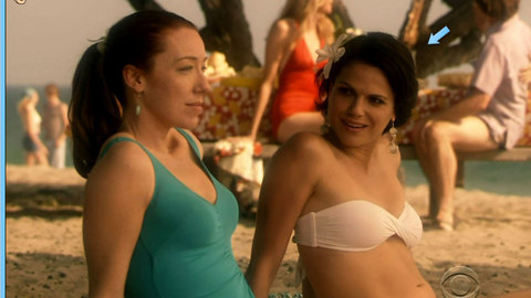 Pic: Lana Parrilla in Swingtown