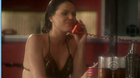Pic: Lana Parrilla in Swingtown