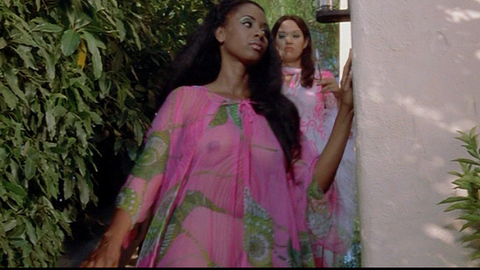 Pic: Robbin Ryan in Viva