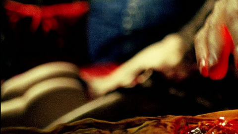 Pic: Michaela Kaplanova in Hostel: Part II