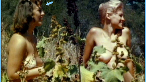 Pic: Michele Roberts in The Immoral Mr. Teas