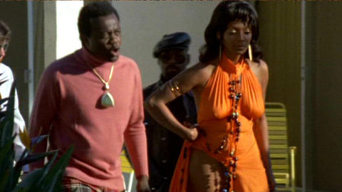 Pic: Nichelle Nichols in Truck Turner (1974)