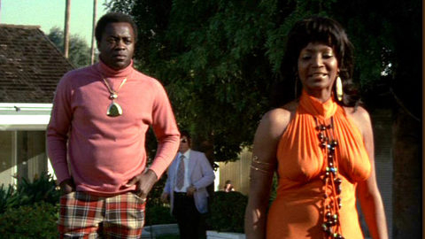 Pic: Nichelle Nichols in Truck Turner (1974)