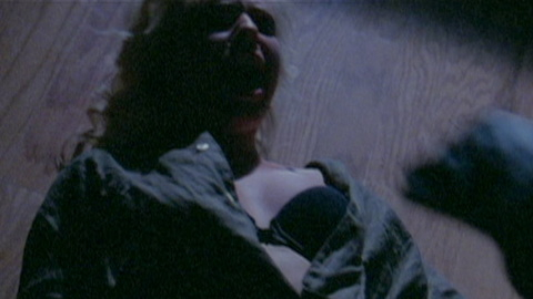 Pic: Melissa-Anne Davenport in Holla