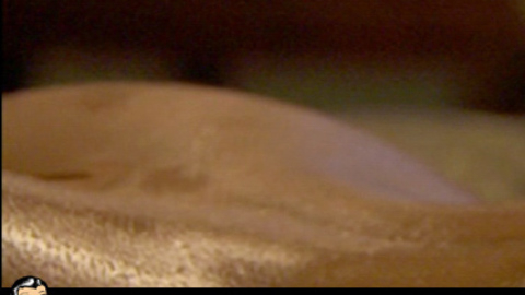 Pic: Katie Wall in Underbelly