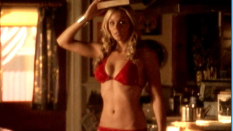 Pic: Laura Vandervoort in Smallville