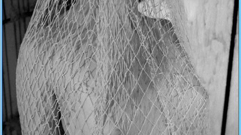 Pic: Jane Hill in Olga's Girls