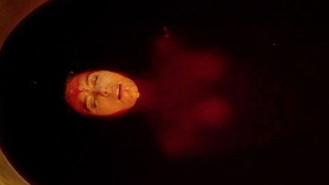 Pic: Jaime Murray in Fright Night 2