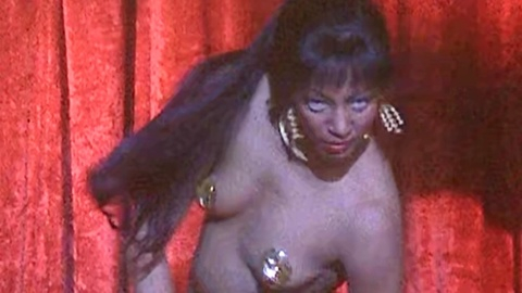 Pic: Paula Kelly in Jo Jo Dancer, Your Life Is Calling