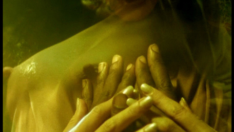 Pic: Giannina Facio in The Hunger