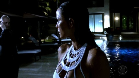Pic: Ana Alexander in Hawaii Five-0