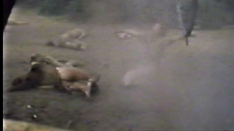 Pic: Cristina Lay in Hotel Paradise