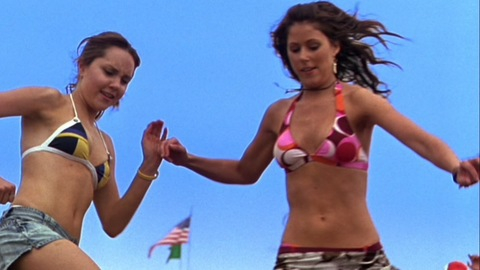Pic: Amanda Crew in She's the Man