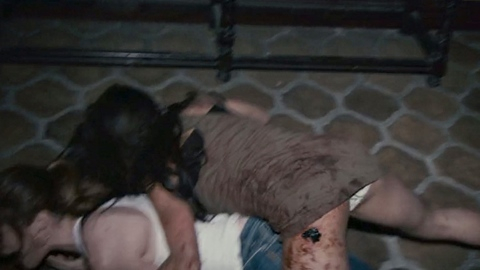 Pic: Dania Ramirez in Quarantine