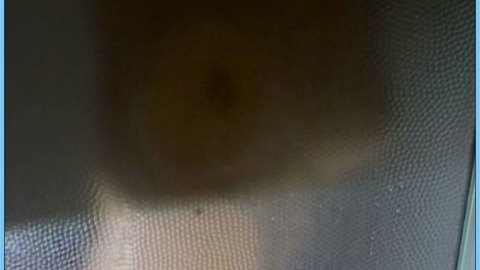 Pic: Tracy O'Brian in Boarding House (1982)