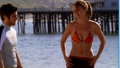 Pic: Emily VanCamp in Brothers and Sisters