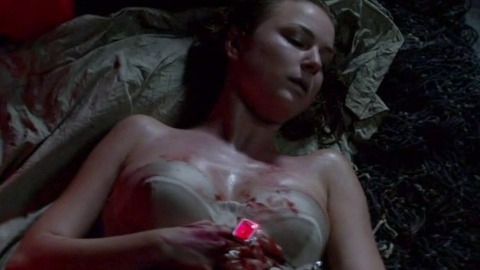 Pic: Emily VanCamp in Revenge