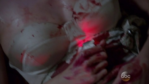 Pic: Emily VanCamp in Revenge