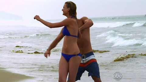 Pic: Emily VanCamp in Revenge