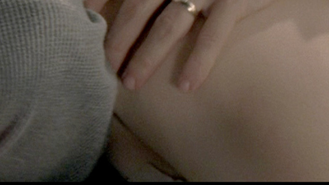 Pic: Ayelet Zurer in Hide Away