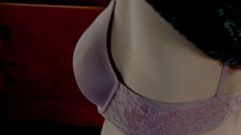 Pic: Ayelet Zurer in Hide Away