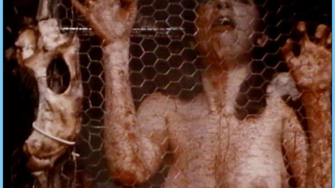 Pic: Maureen Allisse in Roadkill: The Last Days of John Martin