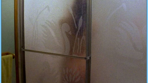 Pic: Cheryl Renee in Hatchetman (2003)