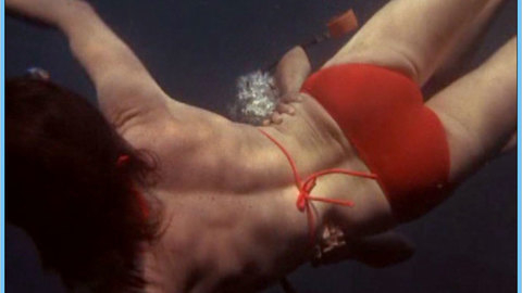 Pic: Nancy Stephens in Charlie's Angels