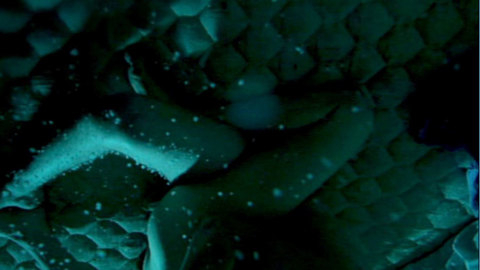 Pic: Emma Bing in Punk Love