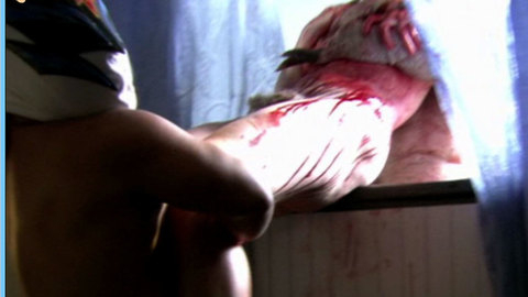 Pic: Amy McGee in Feast II