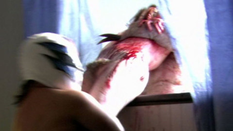 Pic: Amy McGee in Feast II