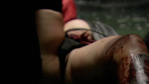 Pic: Chelsea Richards in Feast 3: The Happy Finish