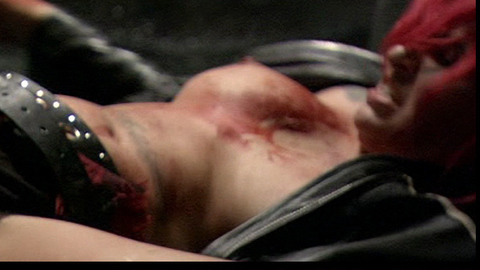 Pic: Chelsea Richards in Feast 3: The Happy Finish