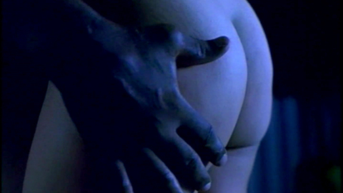 Pic: Robin Trapp in South Beach