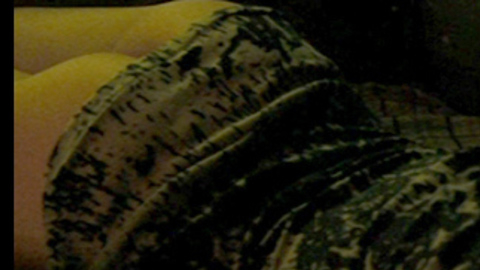 Pic: Kristen Stewart in Welcome to the Rileys