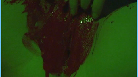 Pic: Lily St. Claire in Blood and Sex Nightmare